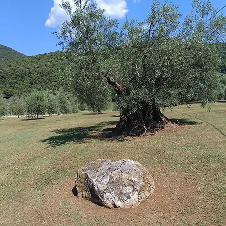 Valle Tassignana Casperia